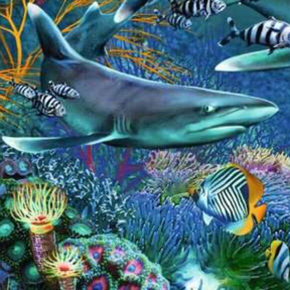 New sealed Ravensburger-3x49 Piece Puzzle Ocean Life (3 different puzzles ) - Picture 8 of 16